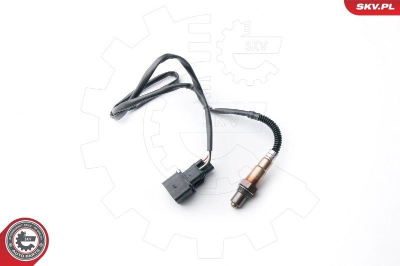 Oxygen Sensor